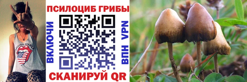 мориарти состав  Киренск  Псилоцибиновые грибы ЛСД 